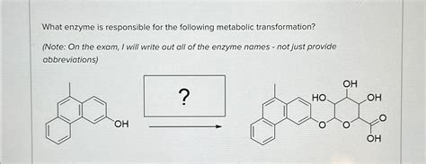 What Enzyme Is Responsible For The Following Chegg