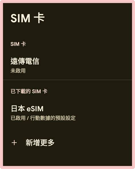 【出國上網攻略】國際漫遊 Wifi分享器 Sim卡 Esim 好用度評比！esim設定教學，隨買即用免換卡超方便 下一站，天涯