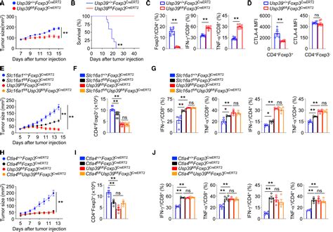 Lactate Modulates Rna Splicing To Promote Ctla Expression In Tumor