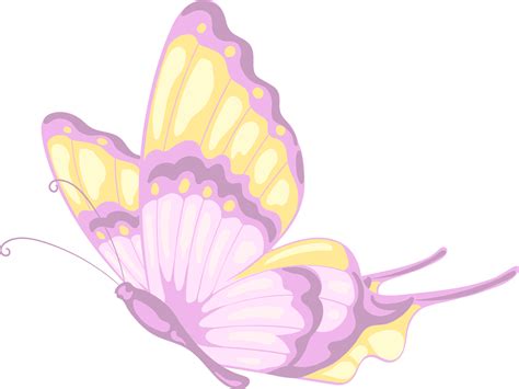 Illustration Beautiful Butterfly Paint Png