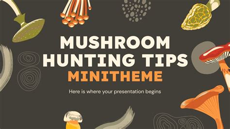 Mushroom Hunting Tips Minitheme