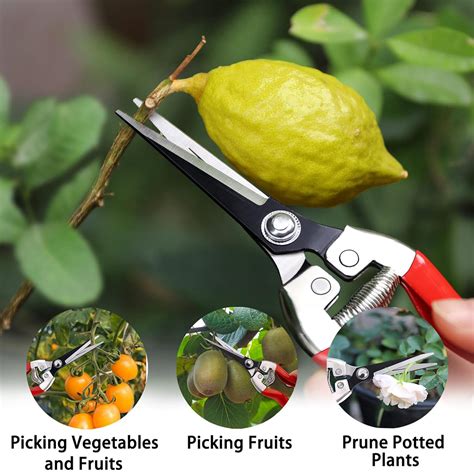 3PCS Professional Garden Secateurs Pruning Kit Stainless Steel Blades ...