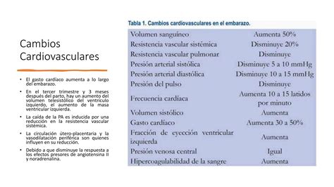 Cambios Cardiovasculares Pptx