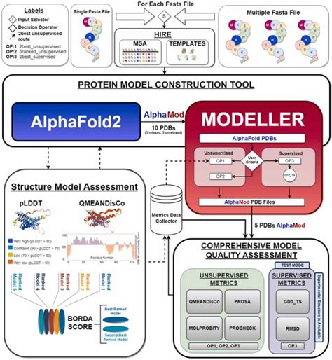 An Automated Pipeline Integrating AlphaFold 2 And MODELLER For Protein