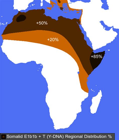 Somali Genetics - Culture - Nigeria