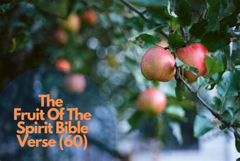 60 Best The Fruit Of The Spirit Bible Verse