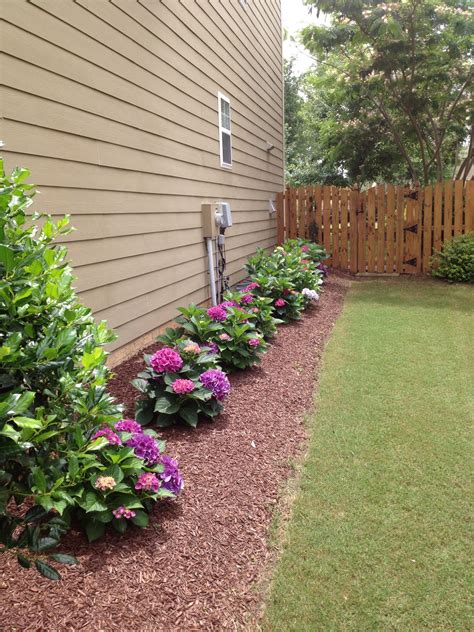 landscaping ideas for side yard 2