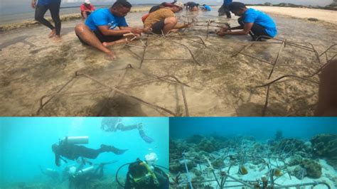 Pelatihan Transplantasi Terumbu Karang Pantai Oesina Kabupaten Kupang