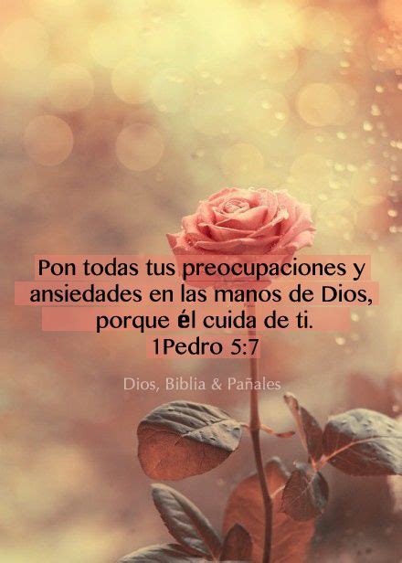 Pedro Dios Palabras Vida Amor Biblia Bible Quotes Bible