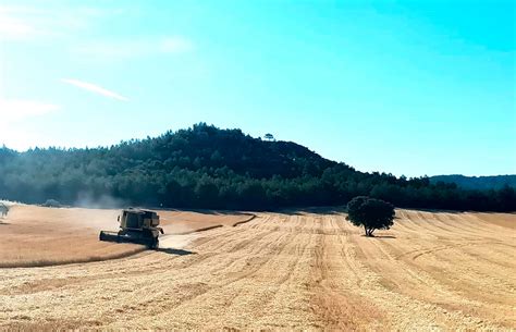 El Abono De La Pac Cerca De Agricultores Y Ganaderos De Clm