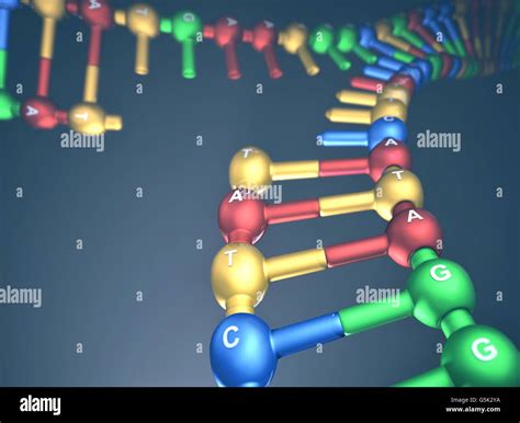 Ilustración 3D el concepto de replicación del ADN horquilla de