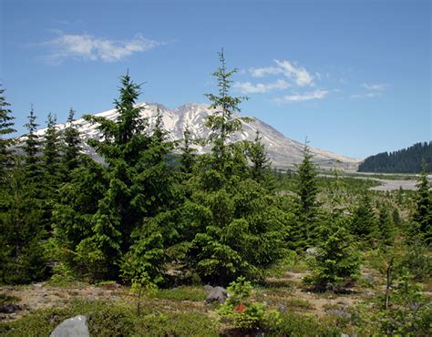 Lahars: Introduction | Mount St. Helens Science and Learning Center