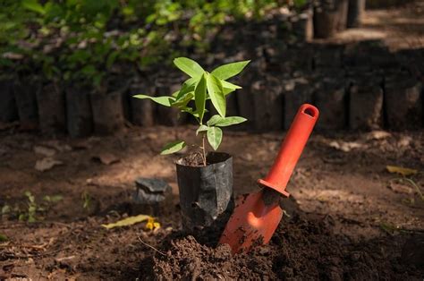 Naturbasierte L Sungen Vielseitige Klimaanpassung Bau Index