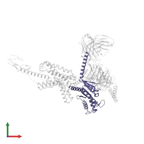 Pdb Try Gallery Protein Data Bank In Europe Pdbe Embl Ebi