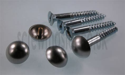 Set Of Mirror Screws With Satin Chrome Mushroom Dome Screw In Cap