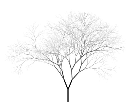 Growing Tree Animation  Pizenia