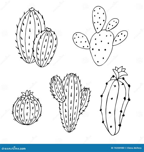 Cactus Set Graphic Art Black White Isolated Illustration Stock Vector