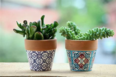 30 Imágenes De Inspiración Para Decorar Con Macetas Plantas