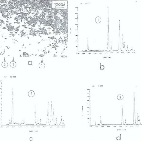 A Transmission Electron Micrograph Observed In The Ribbon Of