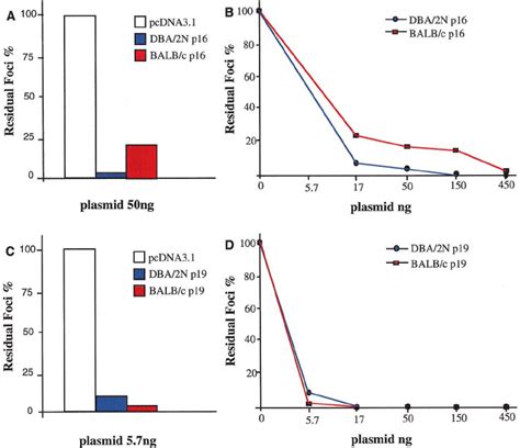 Inhibition Of Ras Mediated Focus Formation A And B Cotransfection