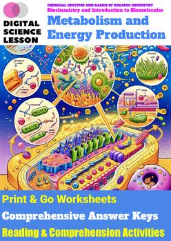 Metabolism And Energy Production Biochemistry And Introduction To