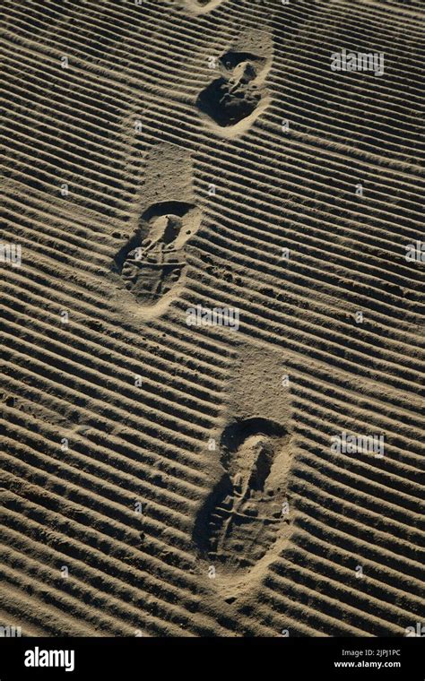 Human Footprint Hi Res Stock Photography And Images Alamy