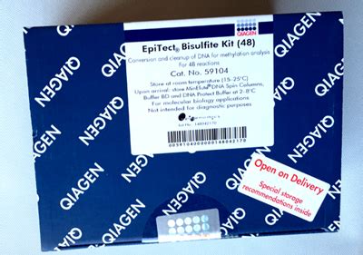 Epitect Bisulfite Kit