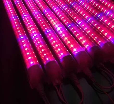 Pitaya And Plant Use Red And Blue Led Tube Lighting Type Degree T