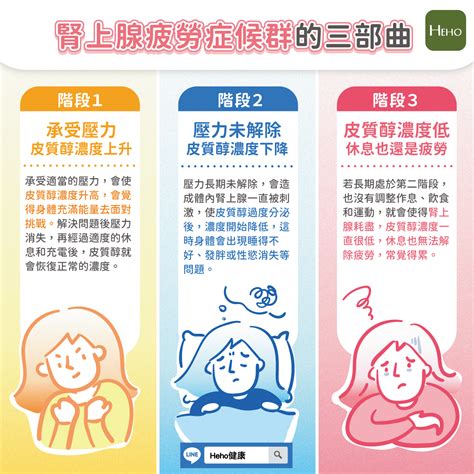 心情低落、常覺得累？造成腎上腺疲勞症候群的三部曲