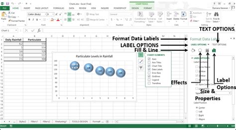 26 INFO FORMAT EXCEL CHART LABELS DOWNLOAD PSD CDR ZIP - * Format