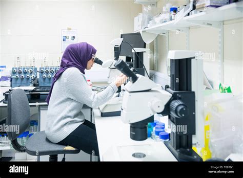 A Muslim Woman Uses The Scientific Equipment In A Research Laboratory At The University Of