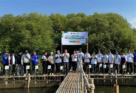 Pegadaian Kanwil IX Bersama Pemuda Jakarta Gelar Aksi Tanam Mangrove Di PIK