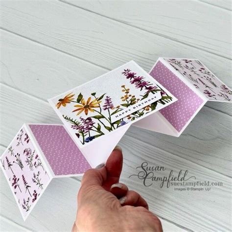 Flying Seagull Fun Fold Cards Suestampfield Fancy Fold Card