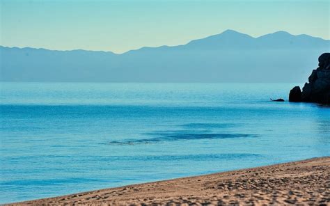 Conoce Las Playas Reabiertas En La Paz Baja California Sur