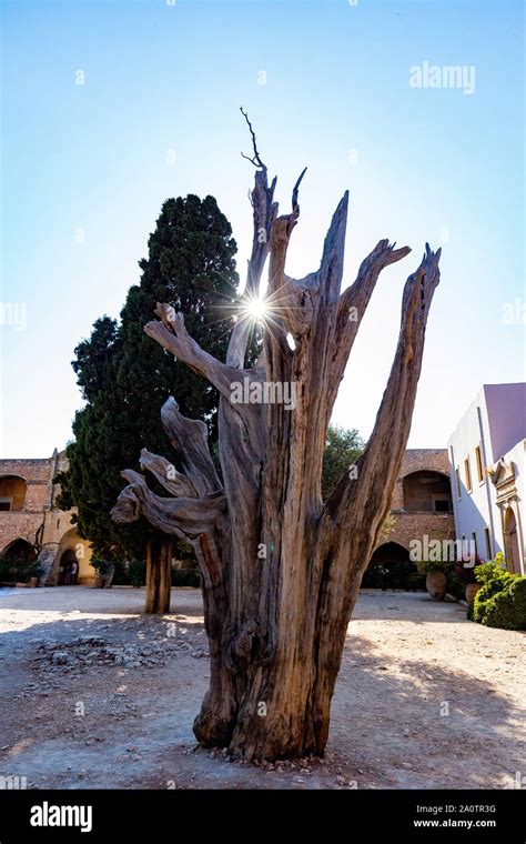 Greece Cypress Hi Res Stock Photography And Images Alamy