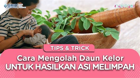 Ajaib Dan Dijamin Langsung Deras Begini Cara Mengolah Daun Kelor Untuk