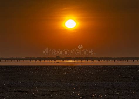 A Morning in Little Rann of Kutch Stock Image - Image of amazing ...