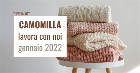 Camomilla Lavora Con Noi Posizioni Aperte A Gennaio 2022