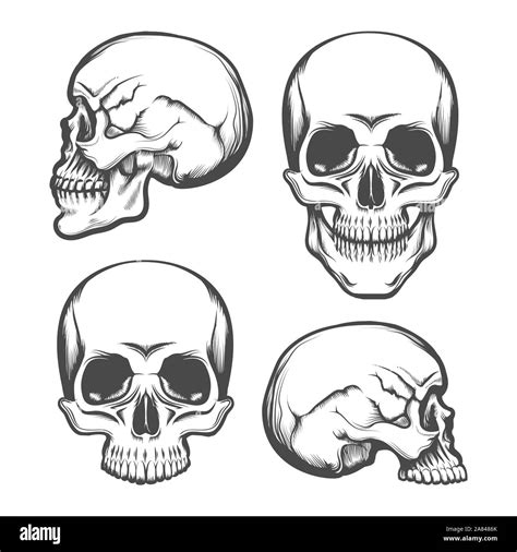 Vectores De Vista Frontal Vector Im Genes De Stock En Blanco Y Negro