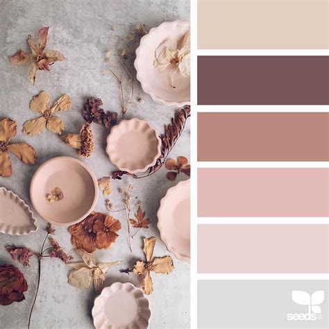 Beige Neutral Pastel Color Palette