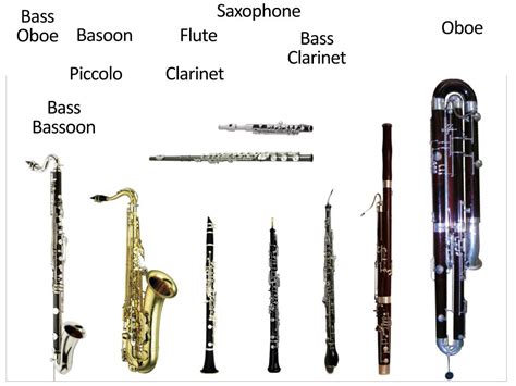 Difference Between Bass Clarinet And Oboe at Pamela Lozada blog