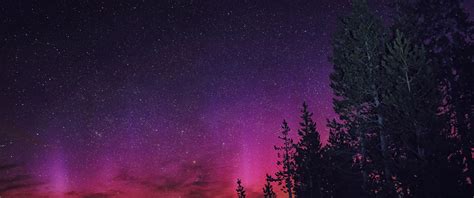 northern lights  ultrawide quad hd p hd  wallpapers
