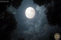 Artist Funhentaiparody E Hentai Lo Fi Galleries