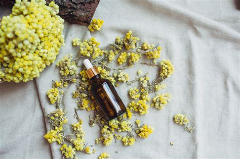 Comment Utiliser L Huile Essentielle D Immortelle