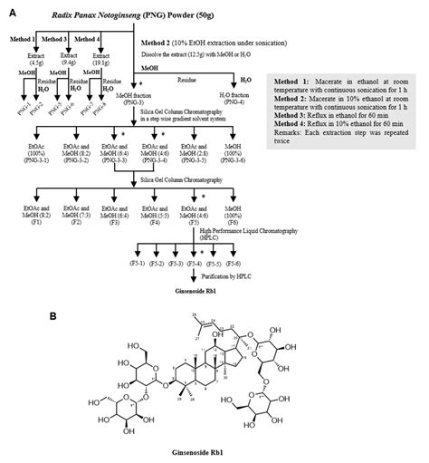 Molecules Free Full Text Ginsenoside Rb1 From Panax Notoginseng