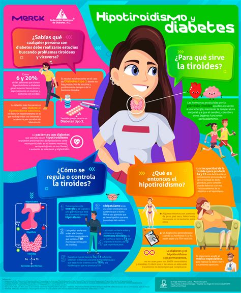 Hipotiroidismo Y Diabetes Federación Mexicana De Diabetes A C