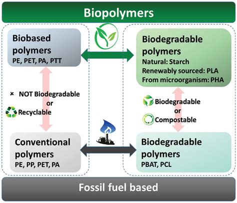 Natural Polymers Biopolymers Biomaterials And Their Composites Blends And Ipns Advances In Materials Science 7