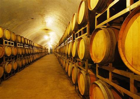 Changyu Winery, Yantai Changyu Pioneer Winery - Easy Tour China