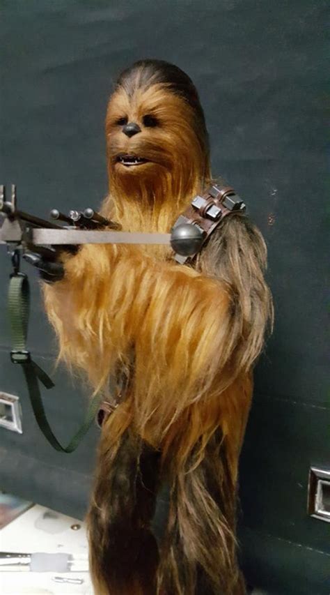 1 6 Hot Toys MMS Star Wars Episode VII Han Chewbacca