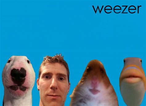 Staring Animals Join Weezer | Weezer Blue Album Cover Parodies | Know ...